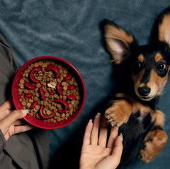 KAMA MUTA Ceramic Slow Feeder Bowl-Petroom