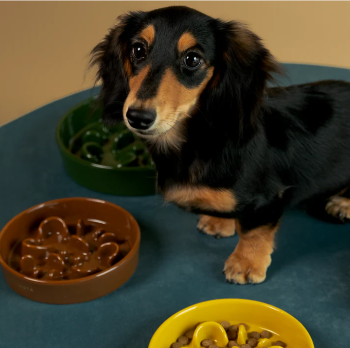 KAMA MUTA Ceramic Slow Feeder Bowl-Petroom