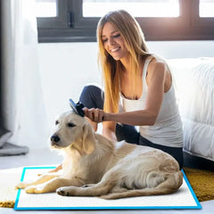 100pcs Absorbent Dog Training Pad 60 x 60 cm
