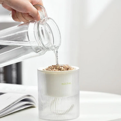 MICHU Soil-Free Cat Grass Kit With Extra Seed Pack-Petroom