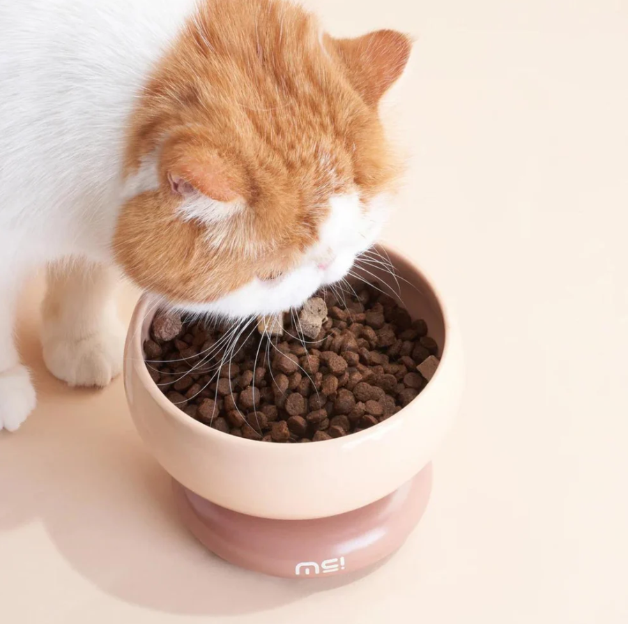 Makesure CALORIE Pet Bowl - Cat and Small Dog Bowl-Petroom