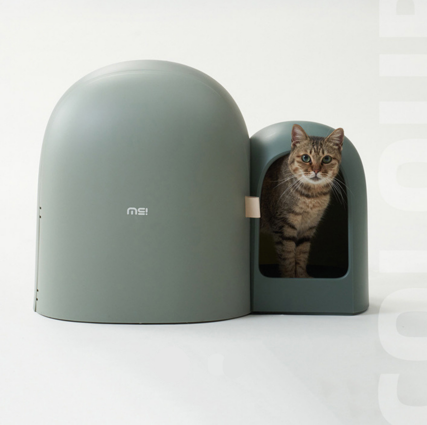 Makesure Cat Litter Box MAX Ideal for large cats-Petroom