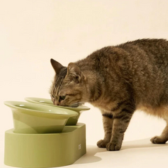 Makesure Jingle 2-in-1 Ceramic Pet Bowl Set for Food & Water Cat Bowls-Petroom