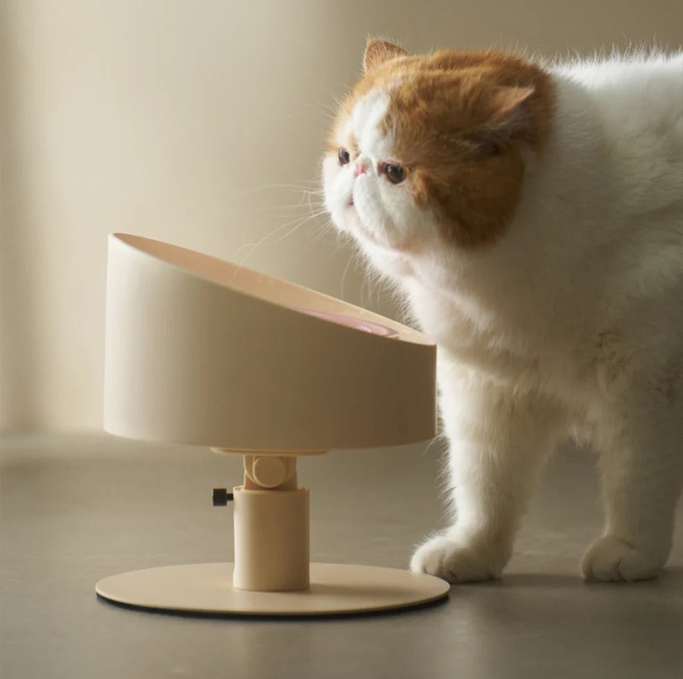 Makesure Sunflower Adjustable Pet Food Bowl-Petroom