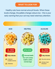 Michu Cat Health Monitoring Pellets - Colour Changing Indicators For Home Urine Testing-Petroom