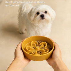 Petal-Shaped Ceramic Slow Feed Bowl for Dogs & Cats
