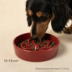 Petal-Shaped Ceramic Slow Feed Bowl for Dogs & Cats
