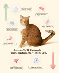 PET-EVER Freeze Dried Raw Cat Food Grain Free Beef/Chicken/Rabbit 400g-PETROOM