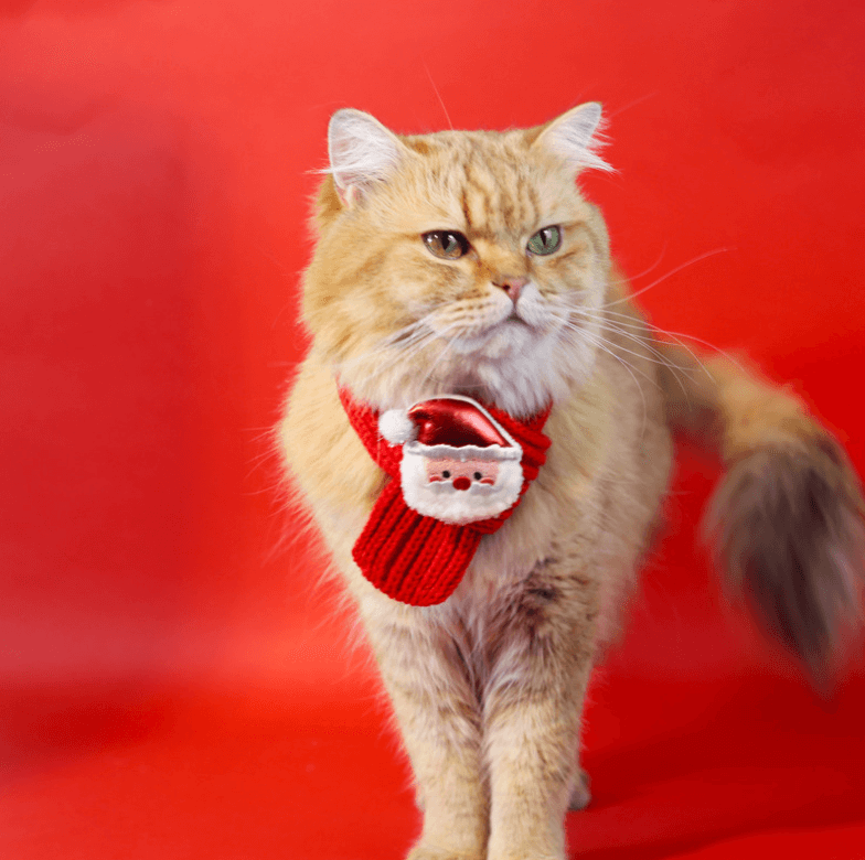 Christmas Pet Scarf in Four Festive Designs – For Cats & Small Dogs-PETROOM