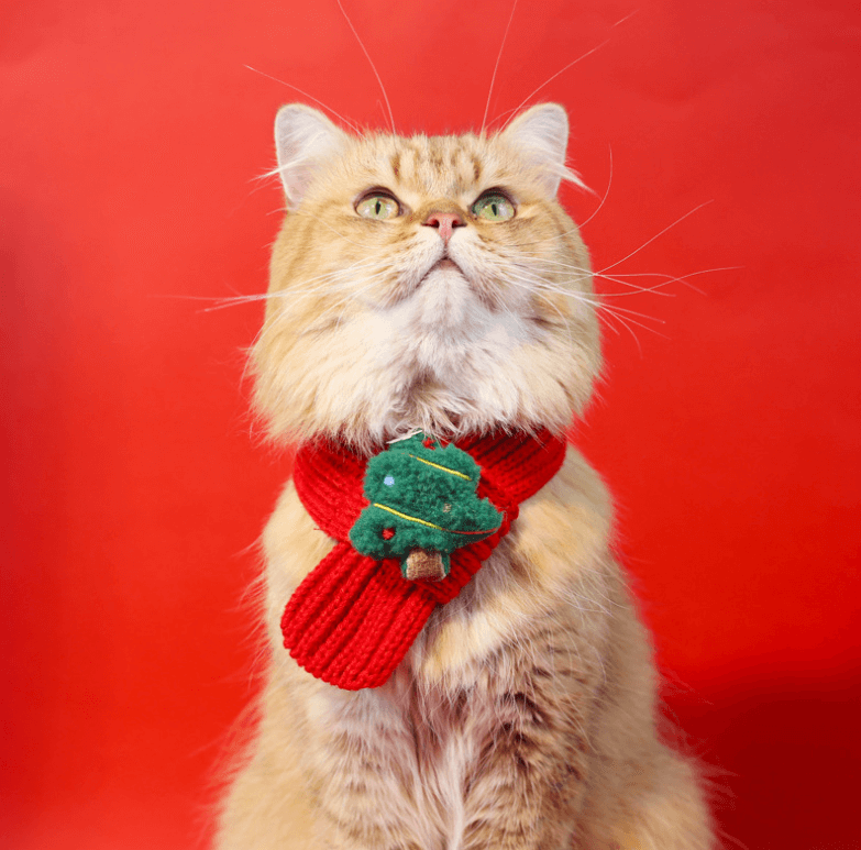 Christmas Pet Scarf in Four Festive Designs – For Cats & Small Dogs-PETROOM