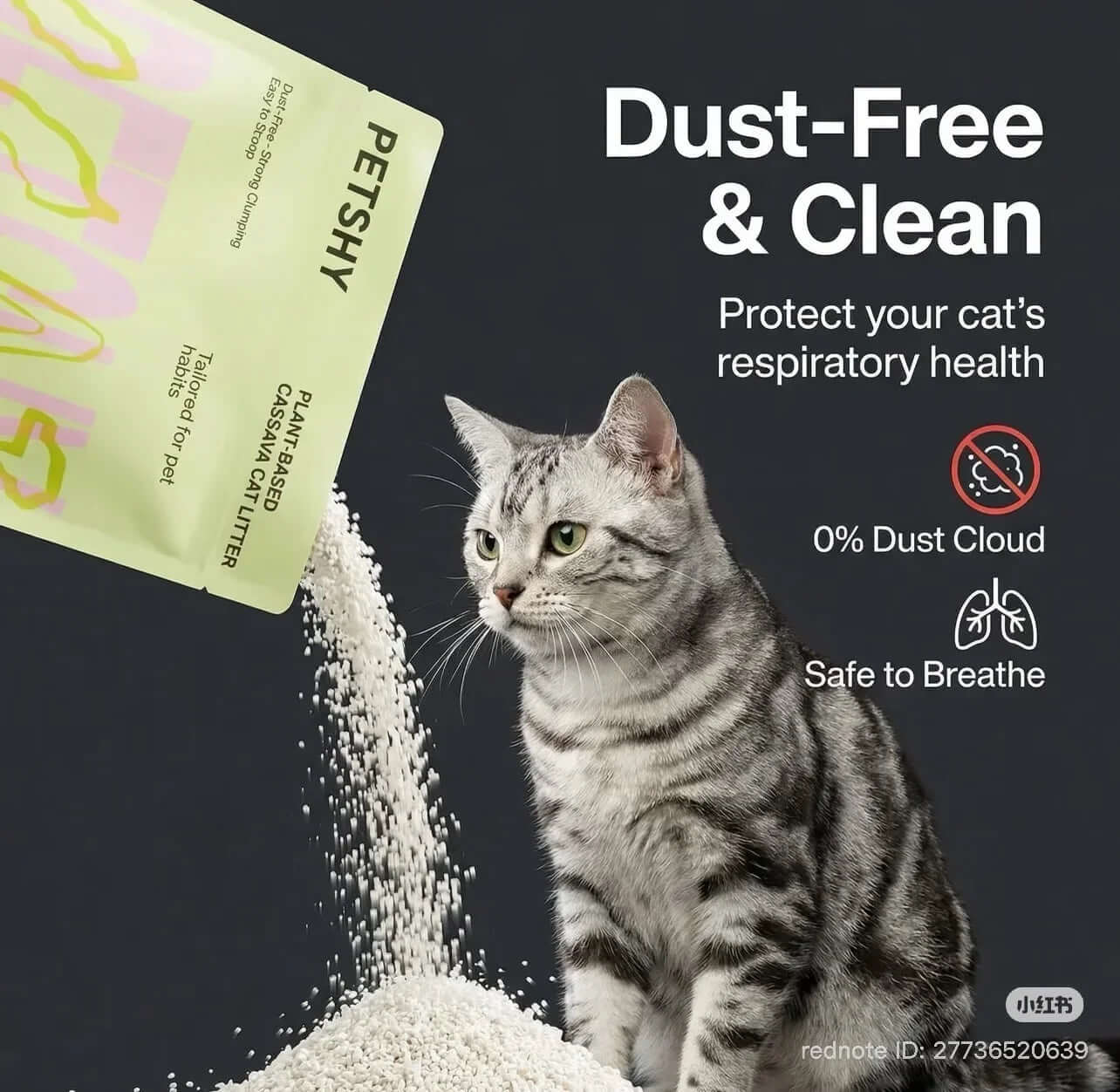 Dust-free plant-based cassava cat litter with gray tabby cat, safe for respiratory health