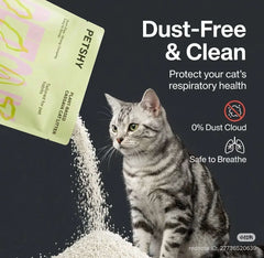 Dust-free plant-based cassava cat litter with gray tabby cat, safe for respiratory health