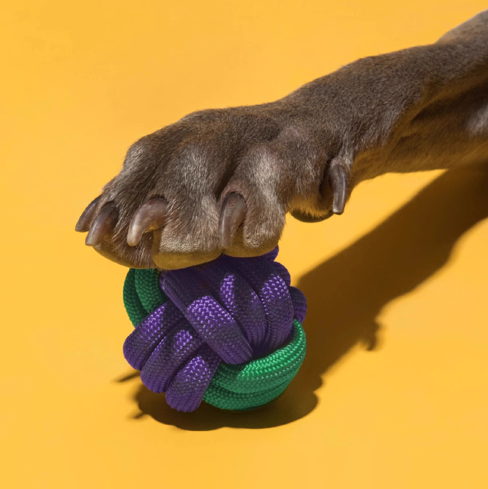 PUPSOOH 3-Piece Durable Rope Toy Set for Dogs – Interactive Chew & Tug Toys for Aggressive Chewers-Petroom