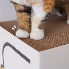 PURROOM Little Chicken Series: Square-Shaped Cat Scratcher House-Petroom