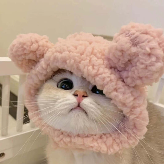 Pet Hat For Cat And Small Dog-Petroom