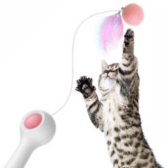Petgravity Cat Wand-Petroom