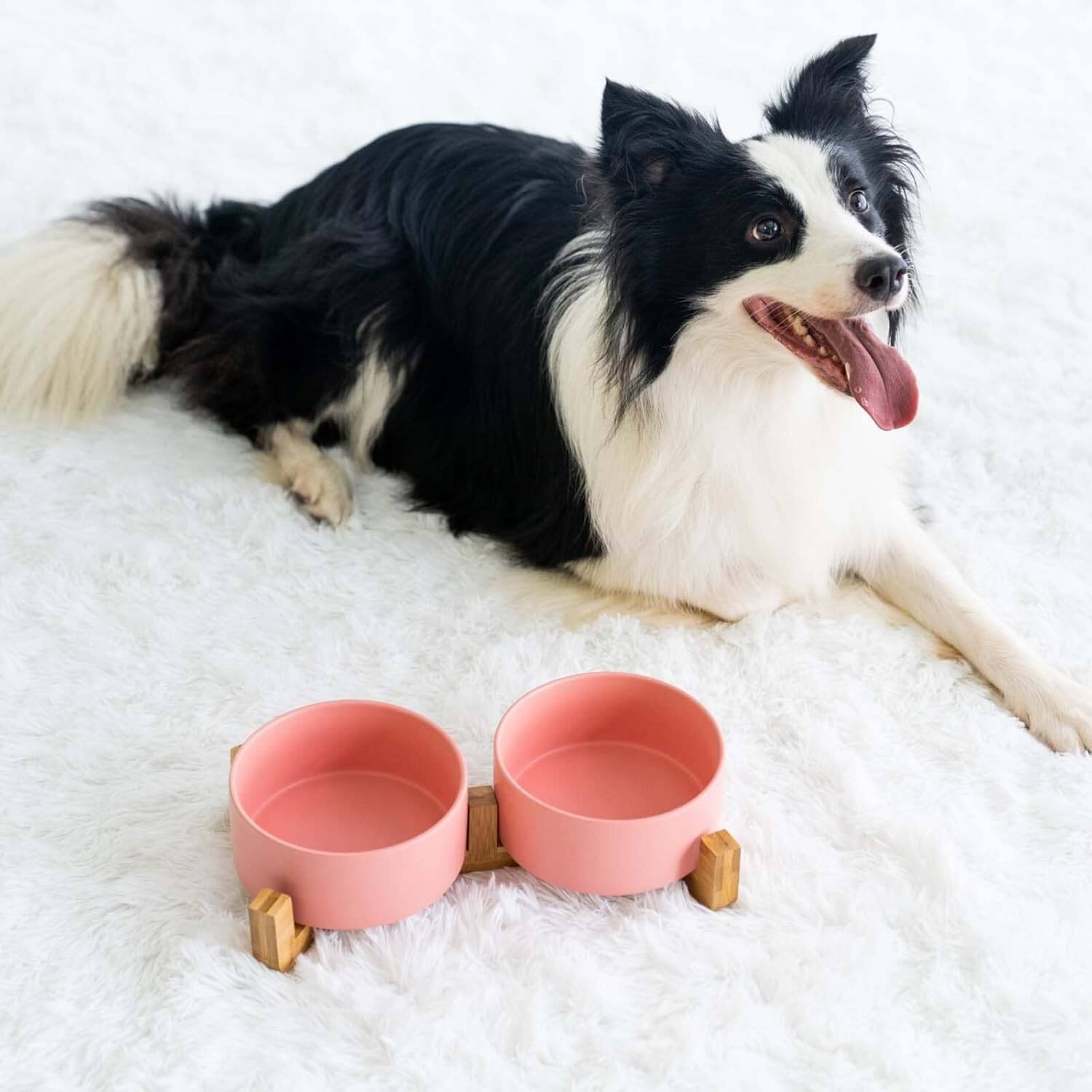 Petroom Ceramic Dog & Cat Bowls with Wooden Stand – Non-Slip Elevated Food & Water Feeder-Petroom