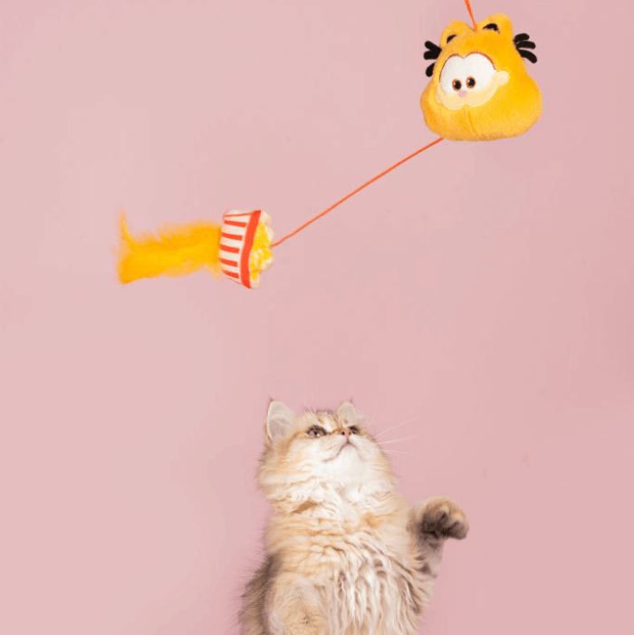 Petsville Catnip Toys & Wands Fun Cat Toys-Petroom