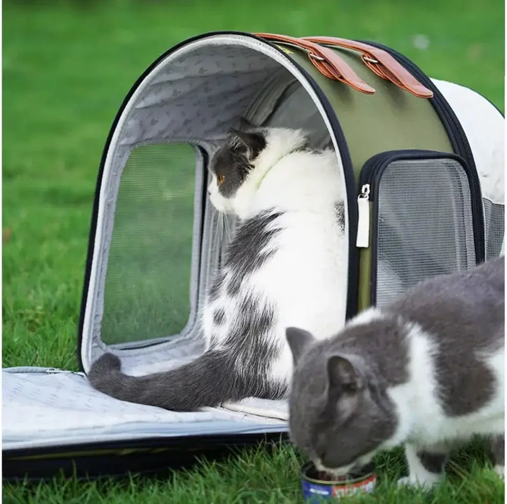 Purrpy Multifunctional Pet Backpack & Tent-Petroom