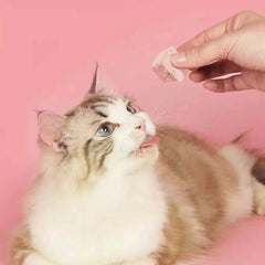 RANOVA Freeze-dried Yogurt Cubes For Dogs & Cats x 40 Pieces Mixed Flavor-PETROOM