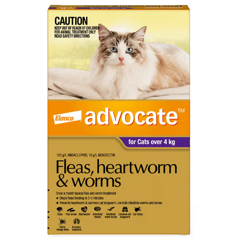ADVOCATE Flea, Heartworm and Worm For Big Cat 3pack (Purple)