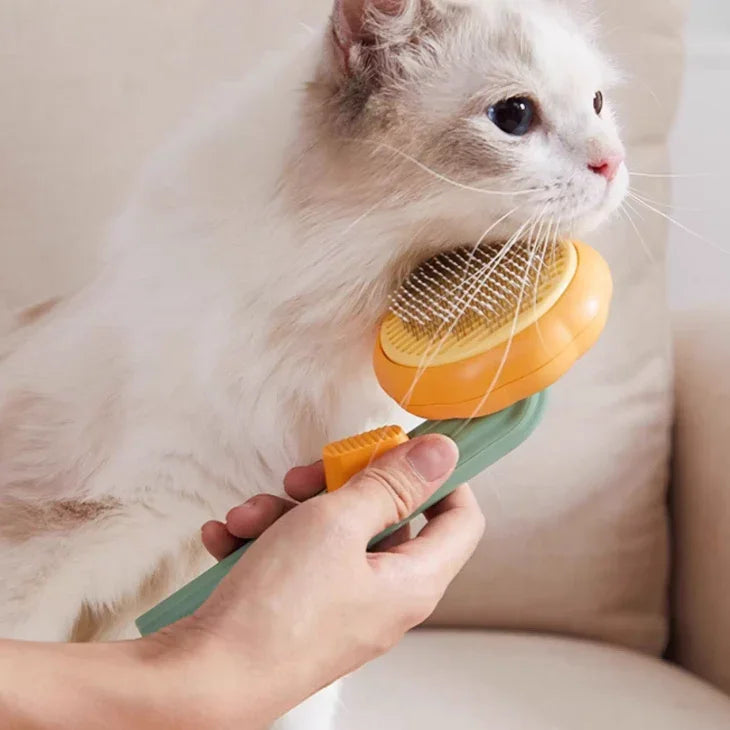 Person using a small orange grooming brush on a white cat