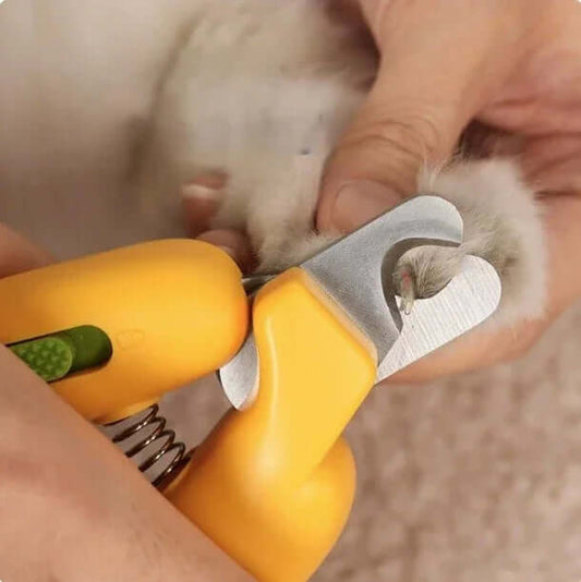 Yellow pet nail clippers trimming cat claws, safe grooming tool for cats and dogs