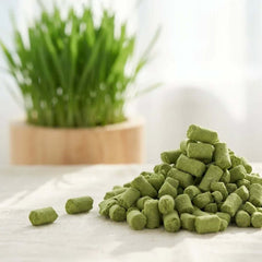 PawDry Freeze-Dried Cat Grass Bites 100g with natural cat grass in background for healthy digestion.