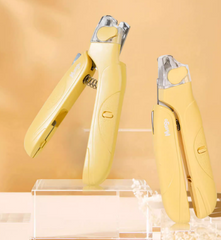 Kitten Welcome Pack (Value at $141.5)