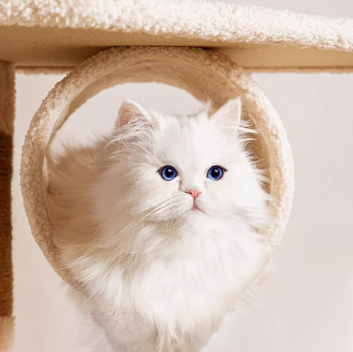 Lucky Seven Cottage Multi-Tier Cat Tree with Cat Scratching Posts