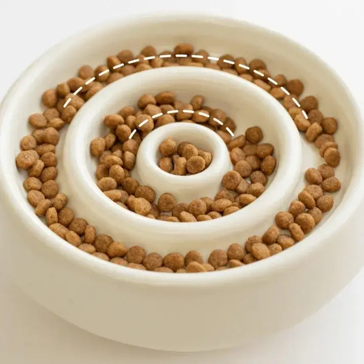 Slow feed dog bowl with kibble in spiral design for healthy eating