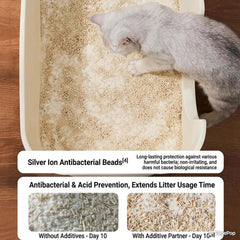 Gray cat using litter box with silver ion antibacterial cat litter, extends usage time