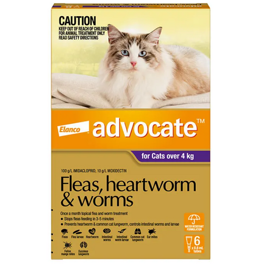 ADVOCATE Flea, Heartworm and Worm For Big Cat 6pack (Purple)