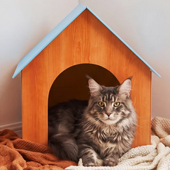 Corrugated Cardboard Cat House Scratcher