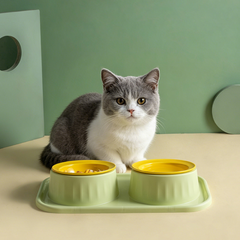 Ceramic Double Raised Cat Bowl with Non-Slip Stand