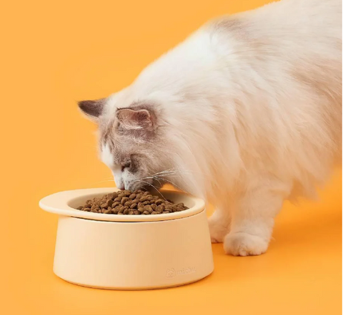 Michu Ceramic 3pcs Dinnerware Set- Raised Bowl and Plate Set for Everyday Pets Essentials