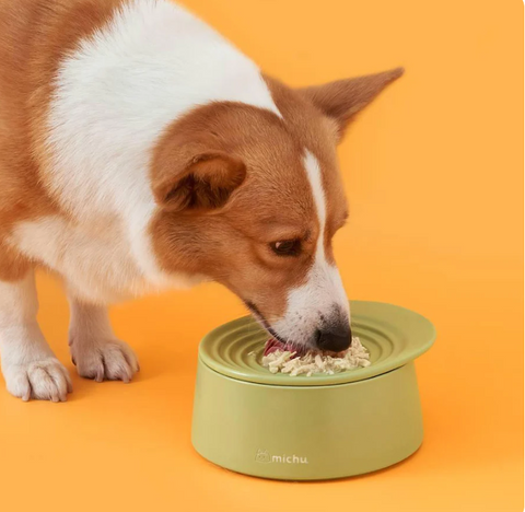 Michu Ceramic 3pcs Dinnerware Set- Raised Bowl and Plate Set for Everyday Pets Essentials