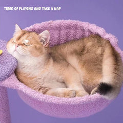 Fantasy Series Cat Climbing Frame — Dreamland 165cm Starry Sky Design