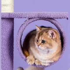Fantasy Series Cat Climbing Frame — Dreamland 165cm Starry Sky Design