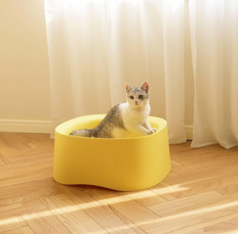 Michu Macaron High Edge Cream White Open Style Extra Large Cat Litter Box Designed by MEOOF XL