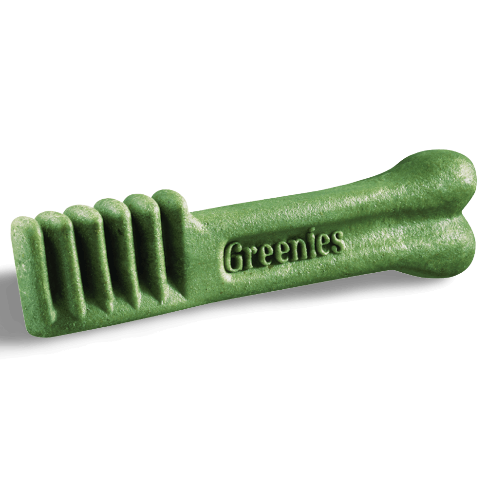 Greenies Sweet Potato Regular Dental Dog Treats 340g, dental chew for dogs, green bone shaped treat.