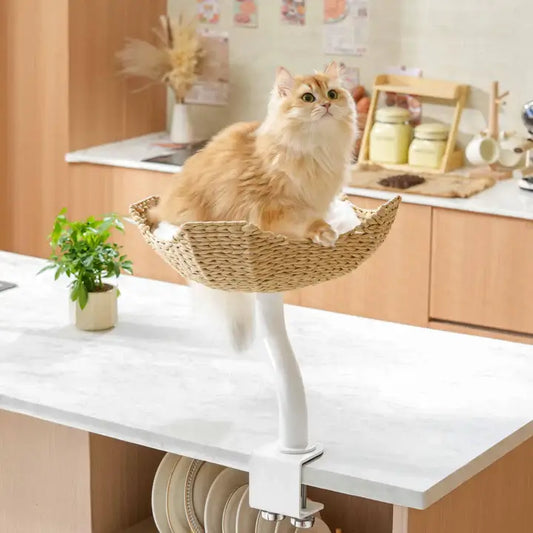 Michu DeskMate Desk-Mounted Cat Tree Perfect For WFH with a cat lounging on a stylish perch in a modern kitchen.