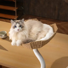 Michu DeskMate Desk-Mounted Cat Tree Perfect For WFH with a fluffy cat resting comfortably.