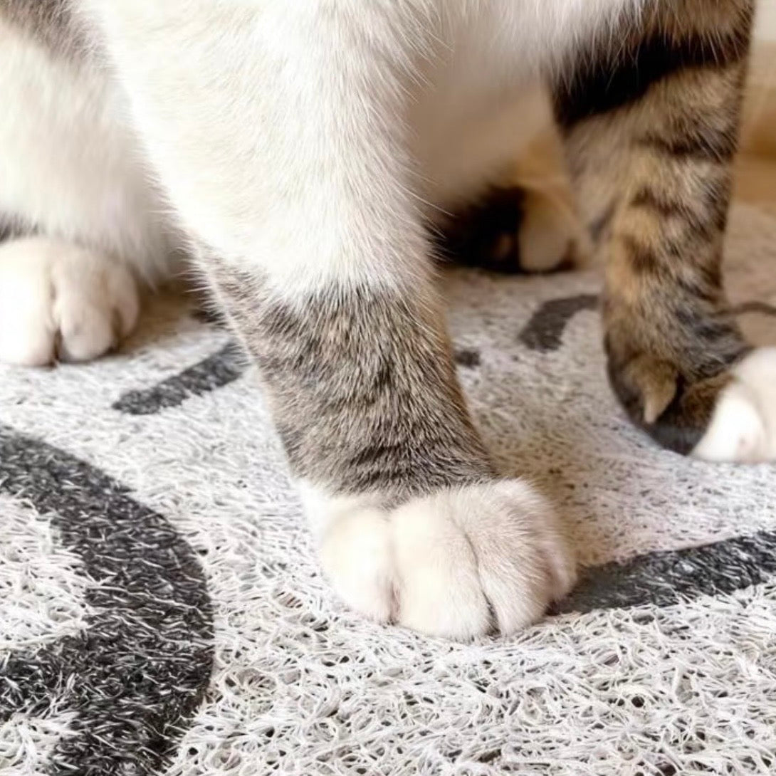 Non-Slip Easy Clean PVC Cat Litter Mat Pink with cat paws standing on it