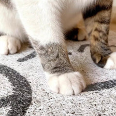 Non-Slip Easy Clean PVC Cat Litter Mat Pink with cat paws standing on it