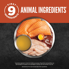 9 Animal Ingredients in Orijen Salmon & Chicken Chunks & Shreds Adult Wet Cat Food 155g ×6