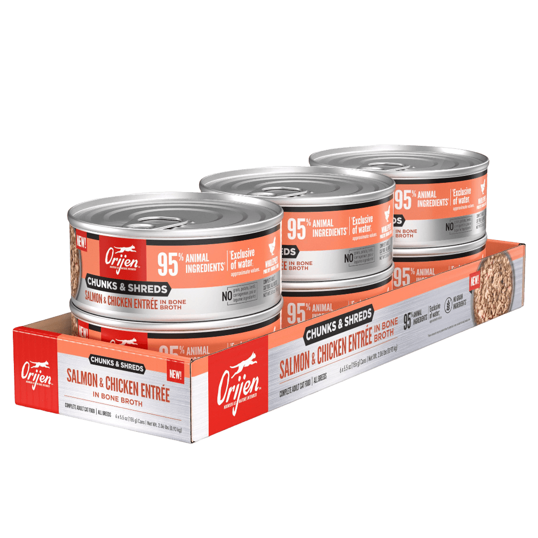 Orijen Salmon & Chicken Chunks & Shreds Adult Wet Cat Food 155g ×6 cans on display.