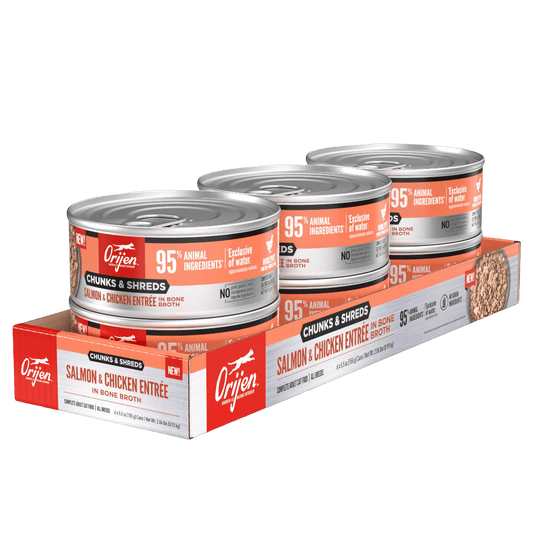 Orijen Salmon & Chicken Chunks & Shreds Adult Wet Cat Food 155g ×6 cans on display.