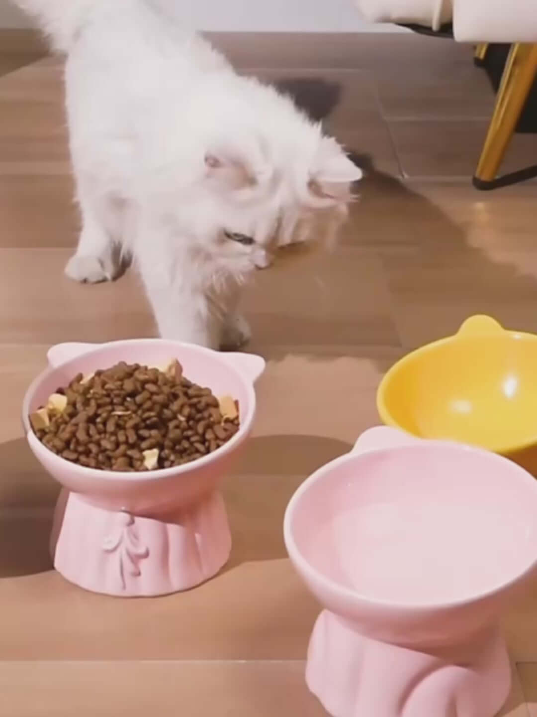 Ceramic Elevated Cat Bowl with 15° Tilt-Petroom