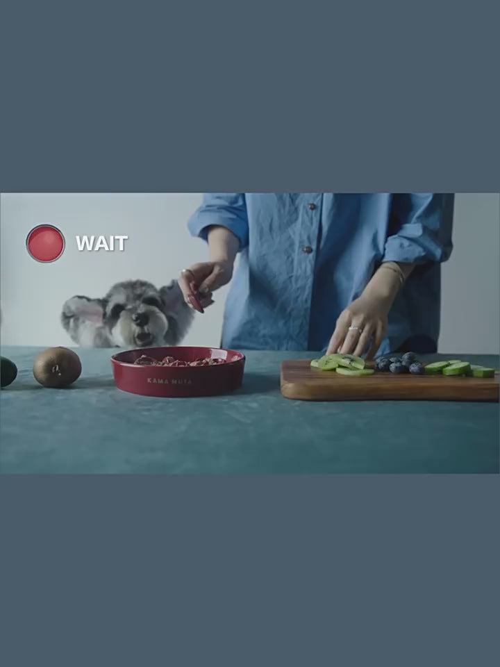 KAMA MUTA Ceramic Slow Feeder Bowl-Petroom